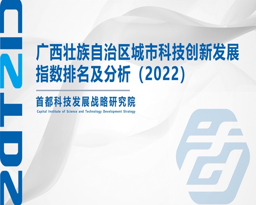 男女插鸡巴视频网站【成果发布】广西壮族自治区城市科技创新发展指数排名及分析（2022）